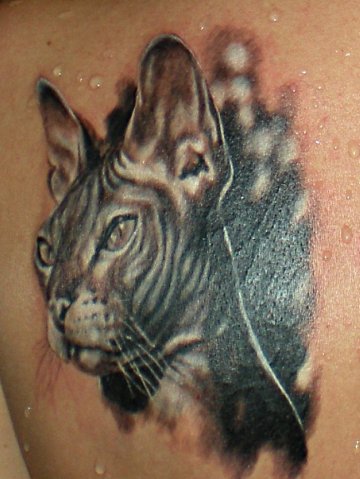 Фото, значение в магии татуировки " Кот. Кошка. Котенок. " - Страница 2 X_d308fcdf